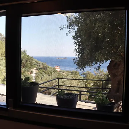 Waterview 크리시 아모우디아