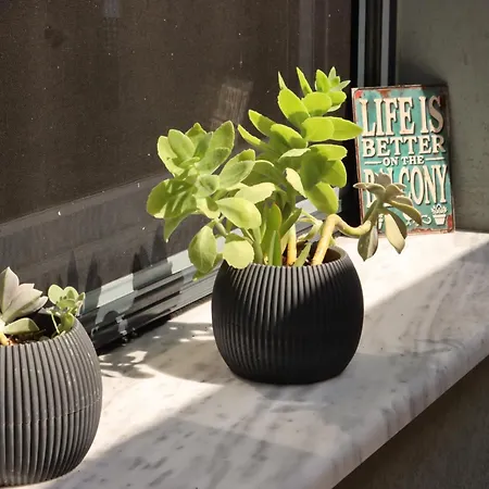 Waterview * خْريسيا أموذيا