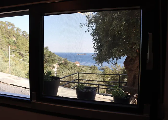 Waterview Chrisi Ammoudia