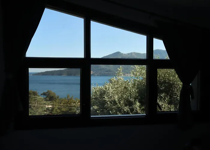 Waterview * Chrisi Ammoudia